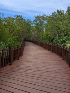 A wooden boardwalk winding through a dense forest, surrounded by tall trees and dappled sunlight filtering through the leaves.