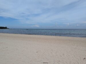A pristine beach with soft white sand, crystal-clear turquoise waters, and gently swaying palm trees under a bright blue sky.