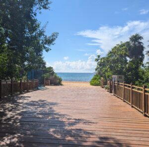 Wooden boardwalk leading to a pristine ocean view, with clear blue skies and gentle waves in the distance.