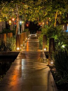 Illuminated walkway at night, trees adorned with colorful lanterns.