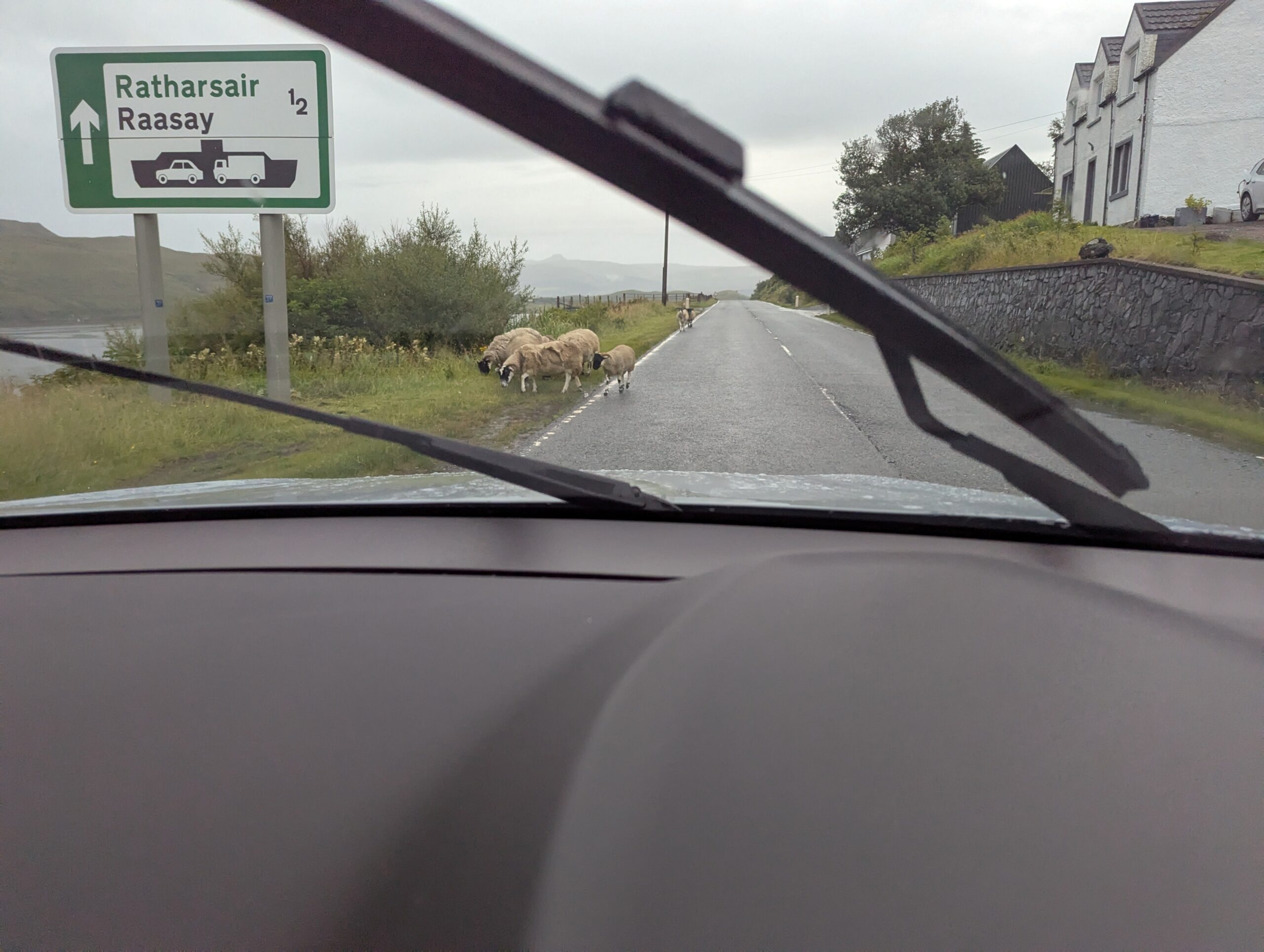Several sheep standing and walking in the middle of a narrow road on the Isle of Skye, blocking the way as a car approaches slowly.